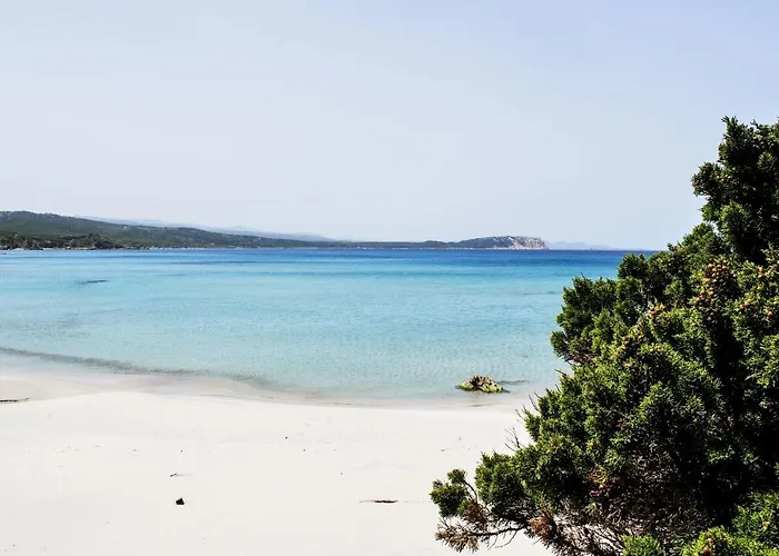 Residence Rena Majore